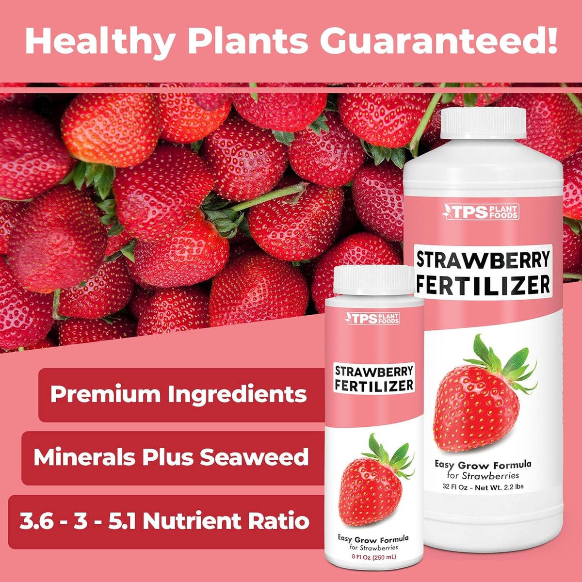 Strawberry Fertilizer for Fruit and Berry Gardens, Liquid Plant Food 8 oz (250mL)