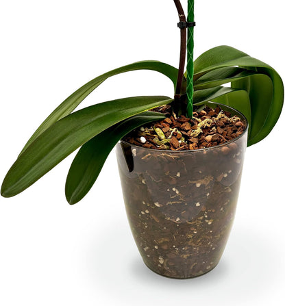 Premium Orchid Soil Mix by Gardenera - Hand Mixed New Zealand Pinus Radiata 100% Natural Potting
