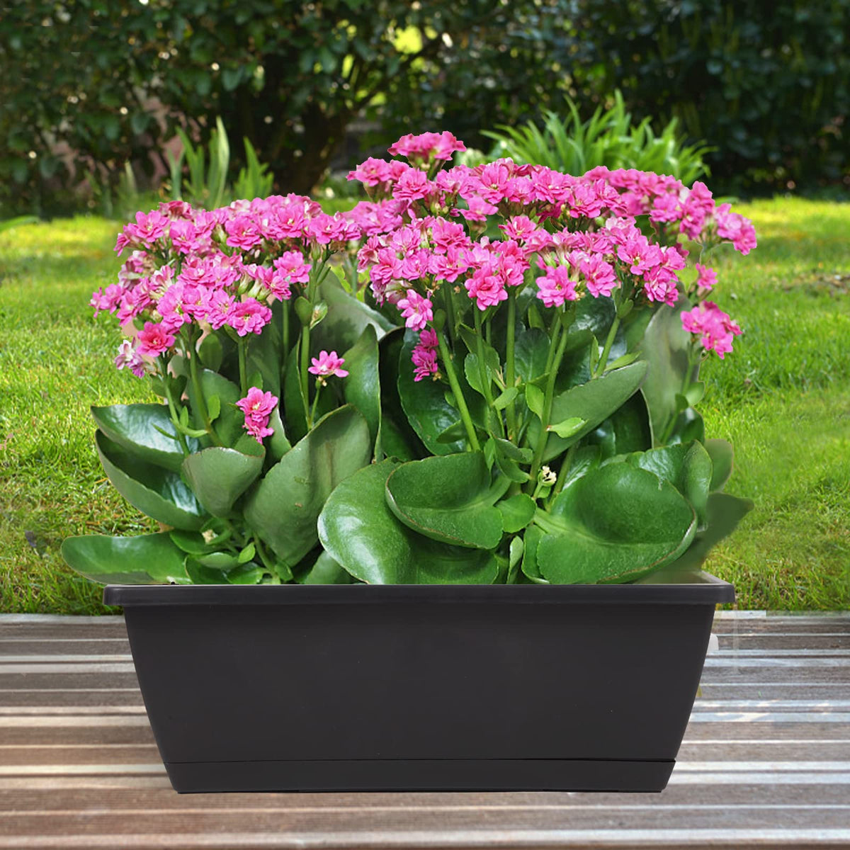 8pcs Window Box Planter,17 Inches Flower Window Boxes,Rectangle Planters Box with Drainage Holes