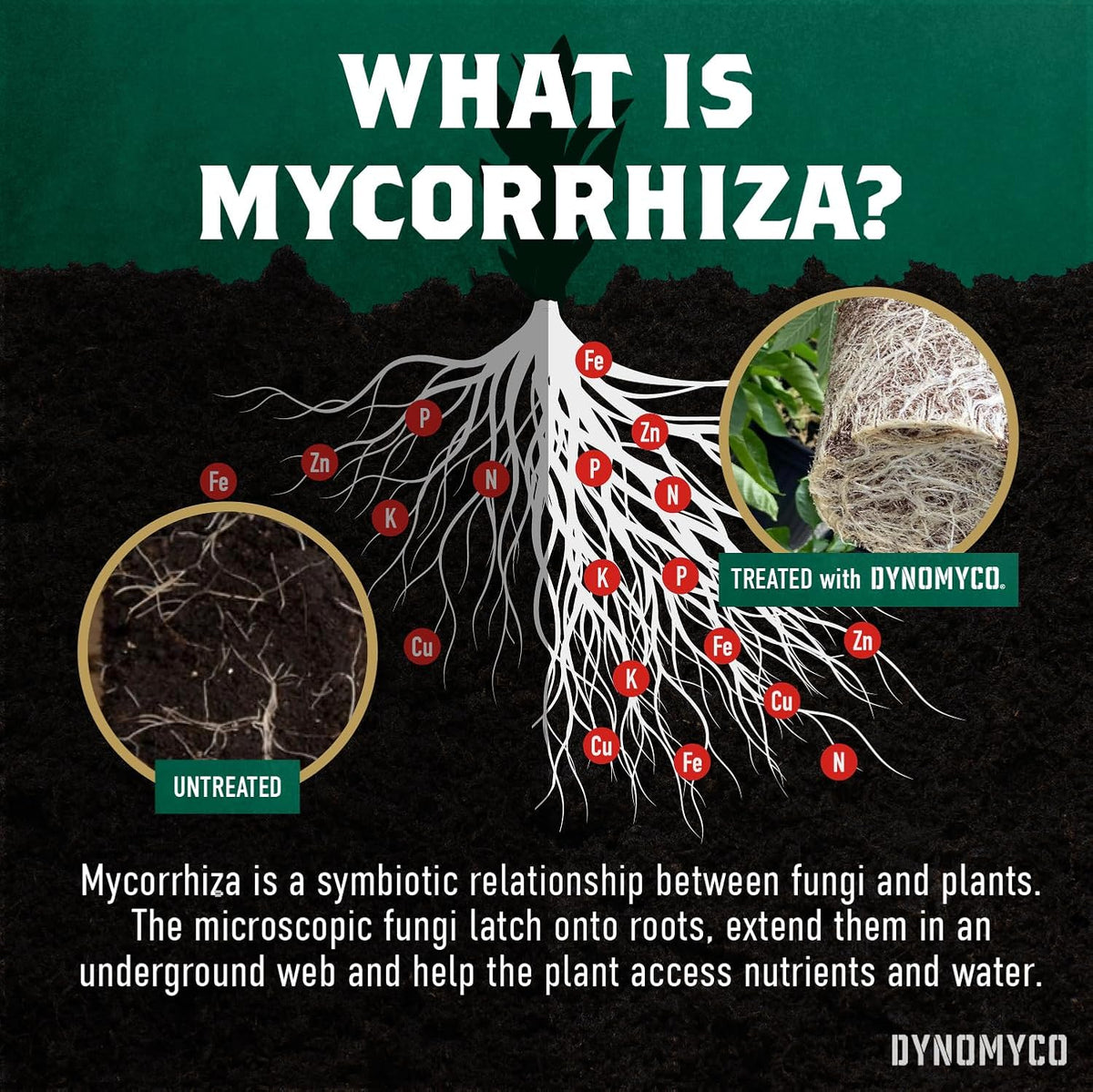 DYNOMYCO Mix 4-in-1 Mycorrhizal Grow Kit for Bigger Yields & Healthier Plants - Includes