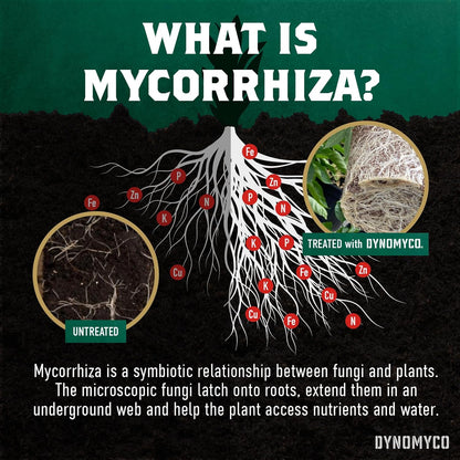 DYNOMYCO Mix 4-in-1 Mycorrhizal Grow Kit for Bigger Yields & Healthier Plants - Includes