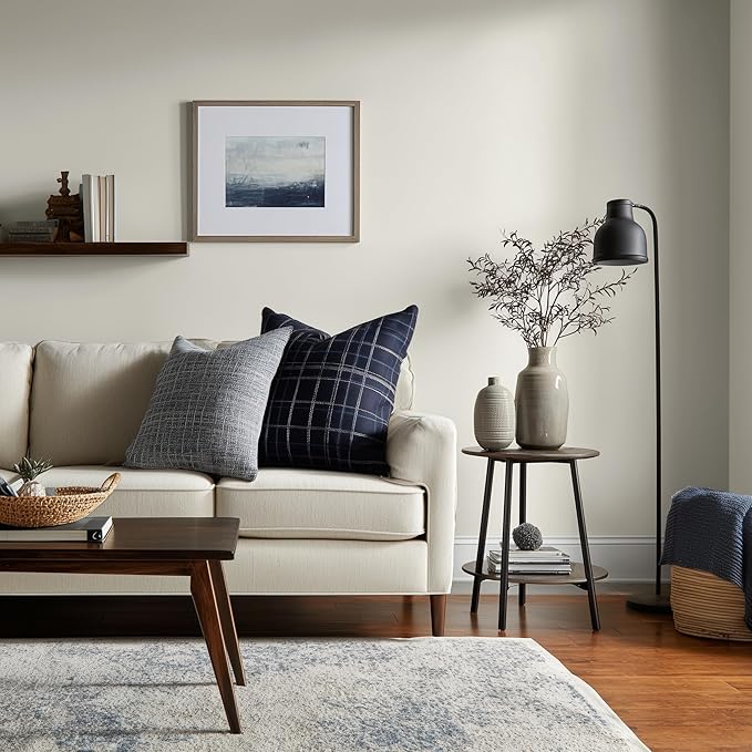 EVOLVE Paint & Primer: Environment-friendly, Low Sheen with One-coat Coverage for Interior &