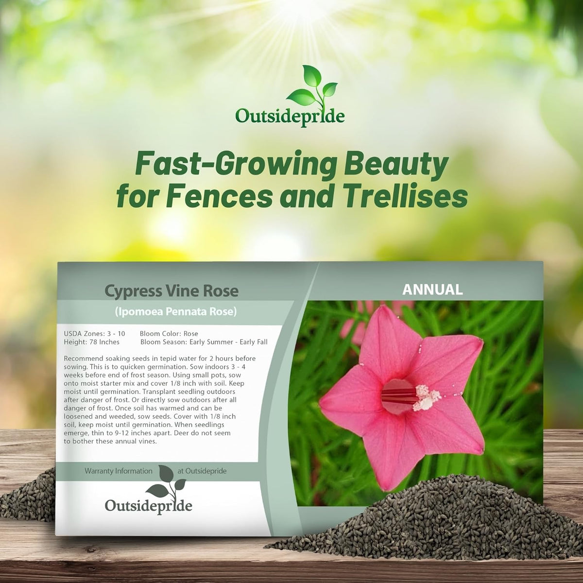 Outsidepride Rose Cypress Vine Seeds - 200 Pcs Annual Flower Seeds with Nectar-Rich, Star-Shaped