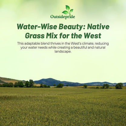 Outsidepride Western Native Grass Seed Mix - 1 lb. Perennial Blend of Warm & Cool Season, Drought