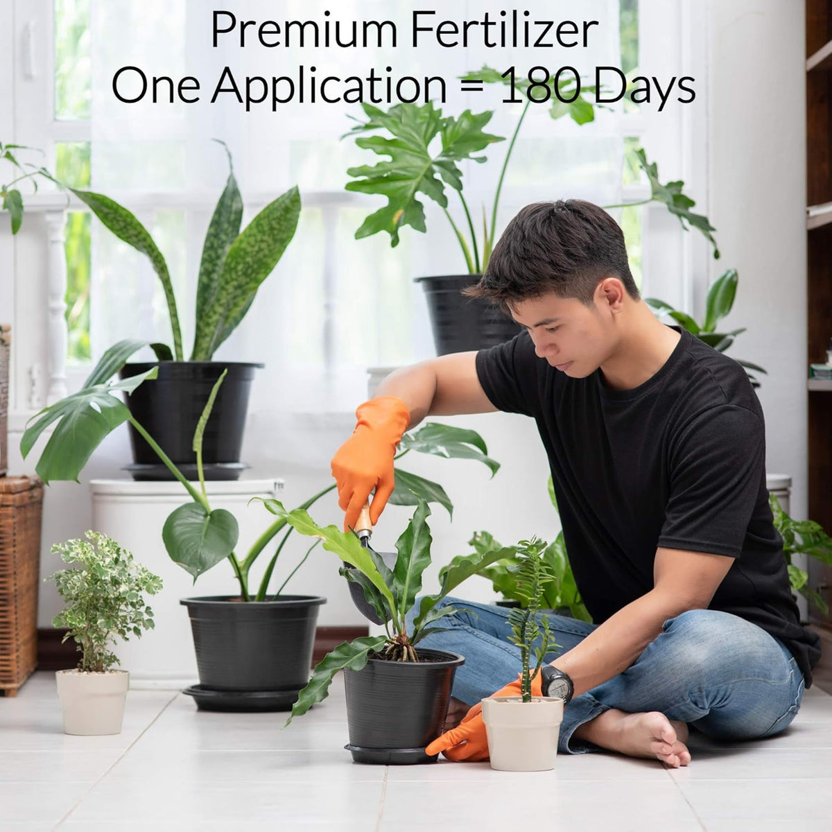 Fiddle Leaf Fig and House Plant Fertilizer Pellets |16-5-11 Slow Release Pellets for Seedlings and