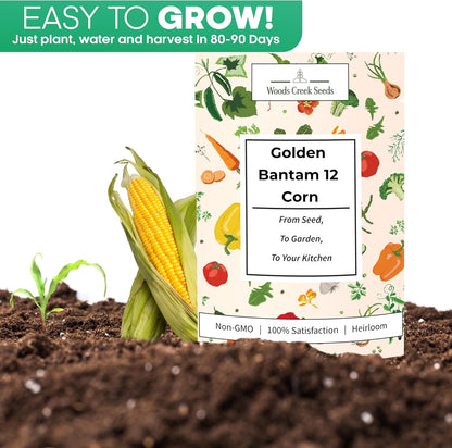 Woods Creek Seeds: Golden Bantam 12 Sweet Corn Seeds for Planting - Heirloom Sweet Corn Seed with