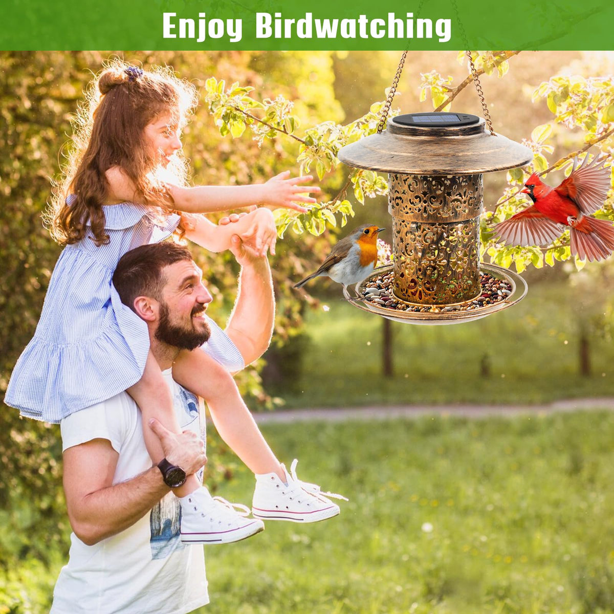 DY-SKTY Metal Bird Feeder for Outdoor Hanging, Large Capacity Solar light Wild Bird Feeder with