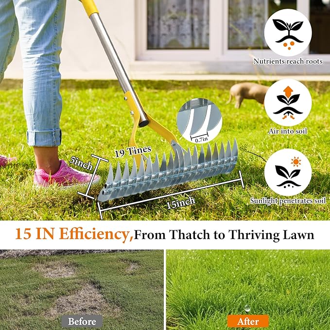 Thatch Rake for Lawns - 15in Dual-Action Dethatching Thatcher Rakes with 55'' Handle,Heavy Duty