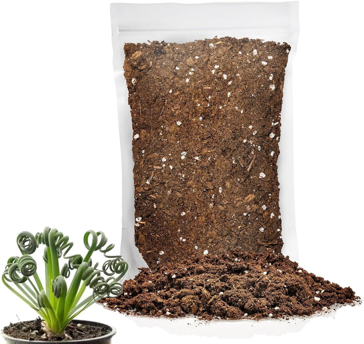 Gardenera Premium Albuca Spiralis Potting Soil Mix - Perfect Balance of Nutrients, Drainage, and