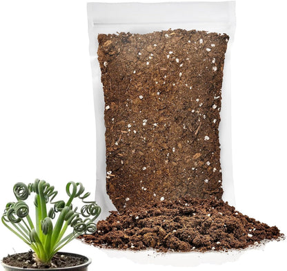 Gardenera Premium Albuca Spiralis Potting Soil Mix - Perfect Balance of Nutrients, Drainage, and