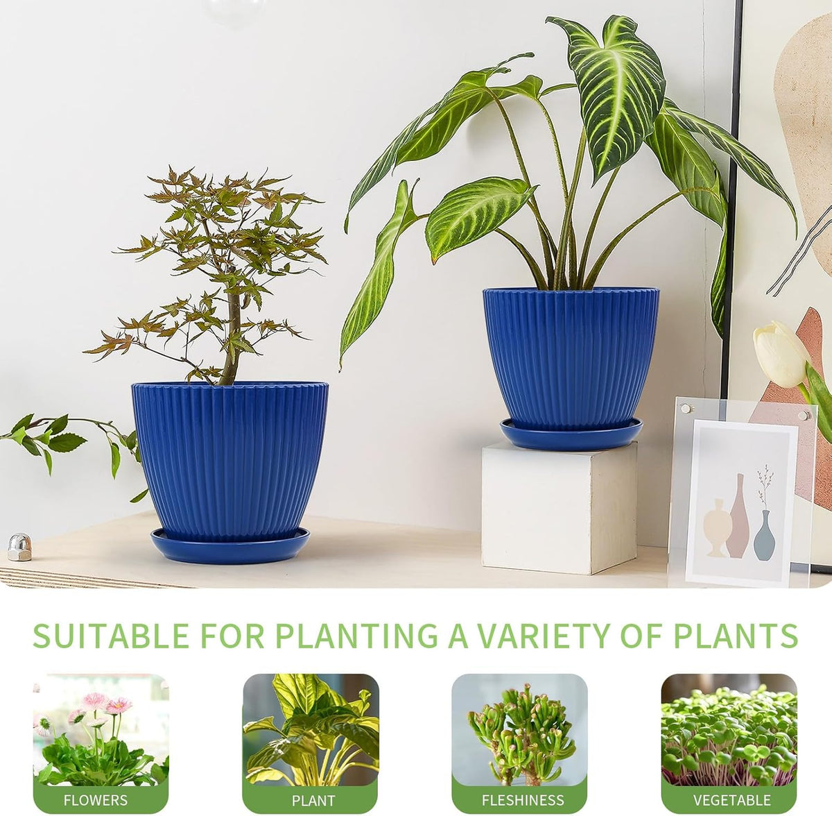 6pcs Plastic Flower Pots, 7.5/6.6/5.8/5.0/4.3/3.5 inches, Indoor/Outdoor Home Decoration, Thick and