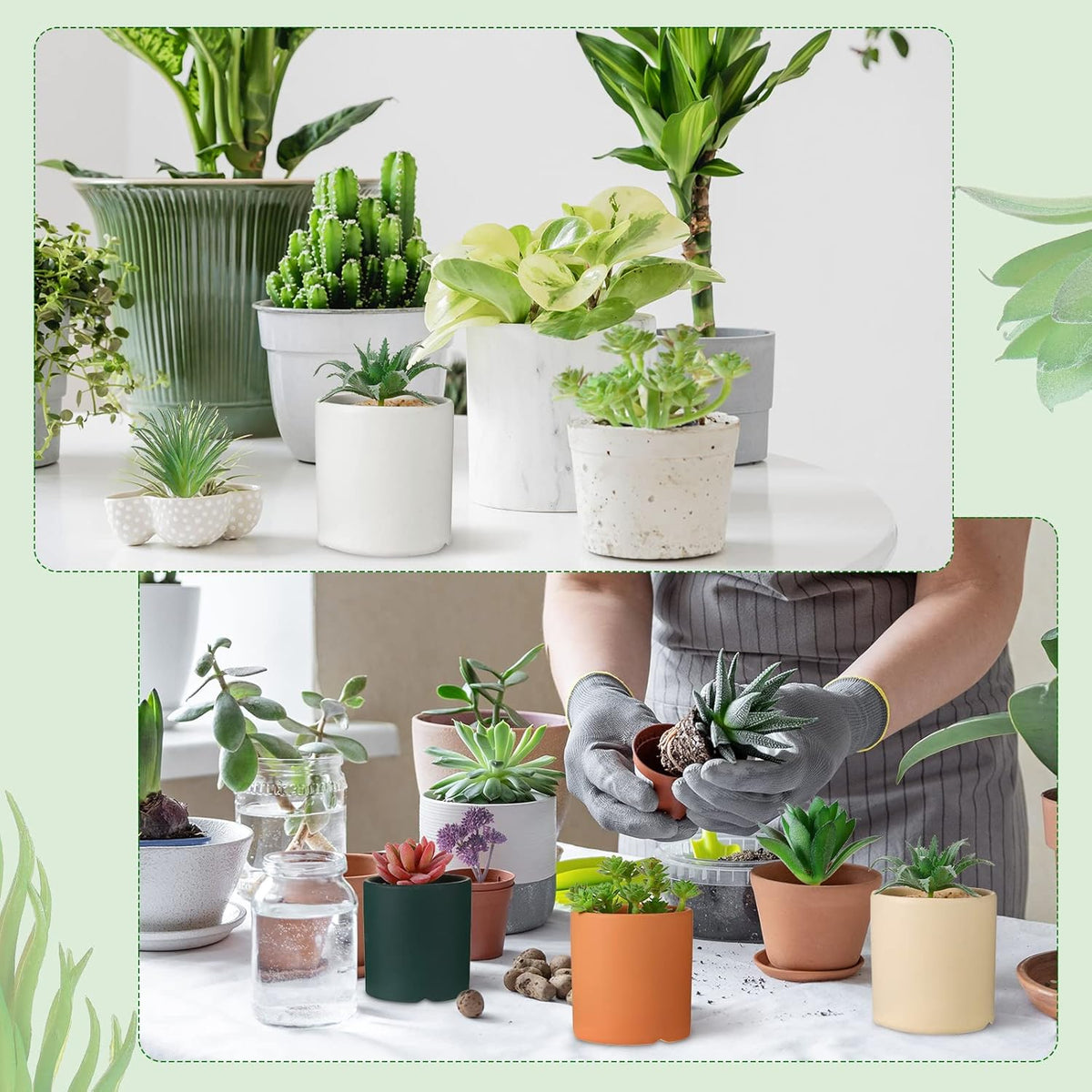 WILLBOND 50 Pcs Bulk Mini Artificial Succulents Plants Assorted Unpotted Realistic Plants Fake