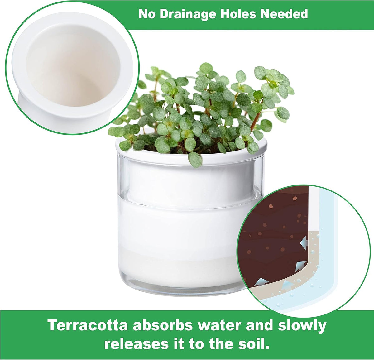 Phoenix Vine 4 Inch Self Watering Planter Pot, Design White Terracotta Pots for Plants, Indoor