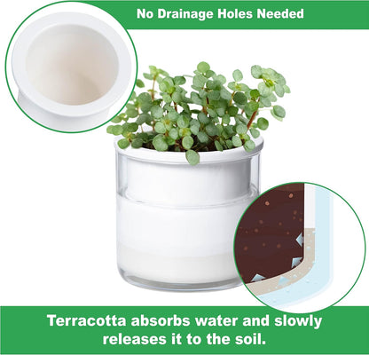 Phoenix Vine 4 Inch Self Watering Planter Pot, Design White Terracotta Pots for Plants, Indoor