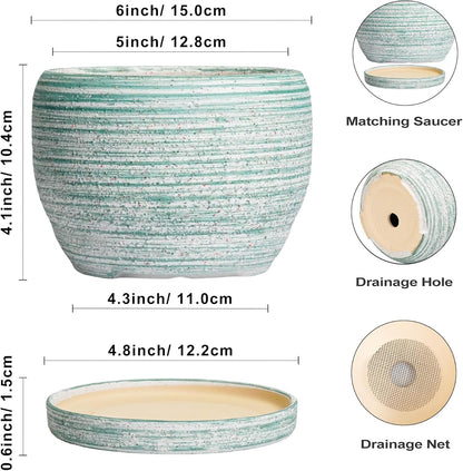SQOWL Ceramic Plant Pots - 6 Inch Planter with Drainage Hole and Tray, Round Flower Pot for Indoor