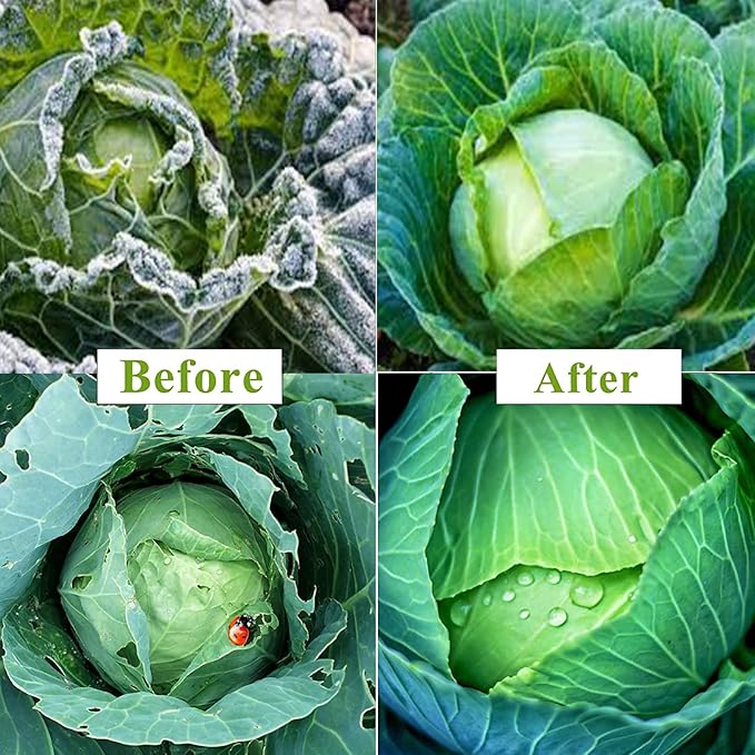 Plant Covers Freeze Protection Kit, 10 x 30Ft Frost Cloth and 6Pcs Fiberglass Garden Hoops 1oz/yd²