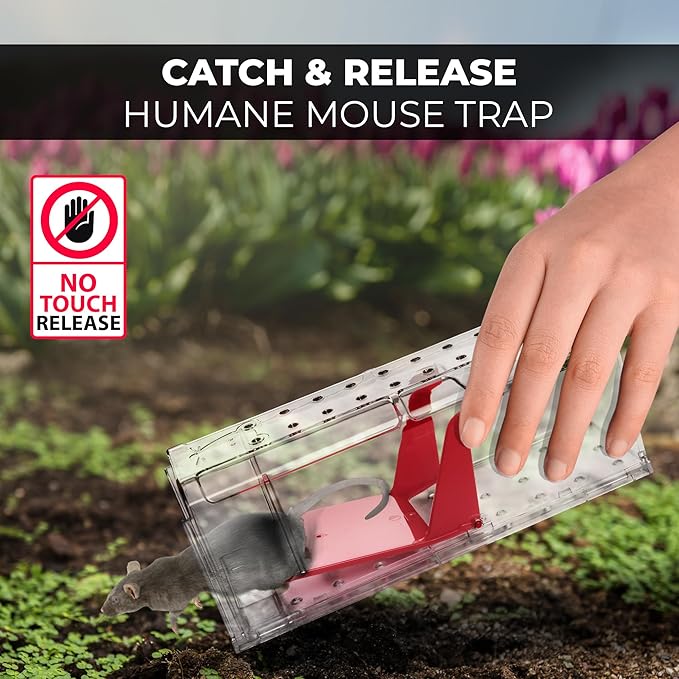 Humane Mouse Trap Pack of 4 - No Kill - Live Mouse Traps Indoor for Home Use - Reusable Rodent