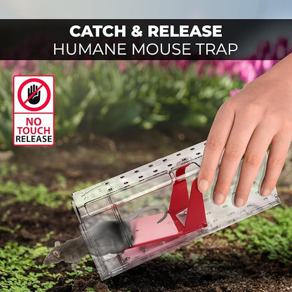 Humane Mouse Trap Pack of 4 - No Kill - Live Mouse Traps Indoor for Home Use - Reusable Rodent