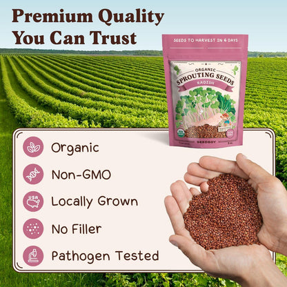 Seedboy Organic Non-GMO Radish Seeds for Sprouting - USA Grown Microgreens Sprouting Seeds - 8 oz