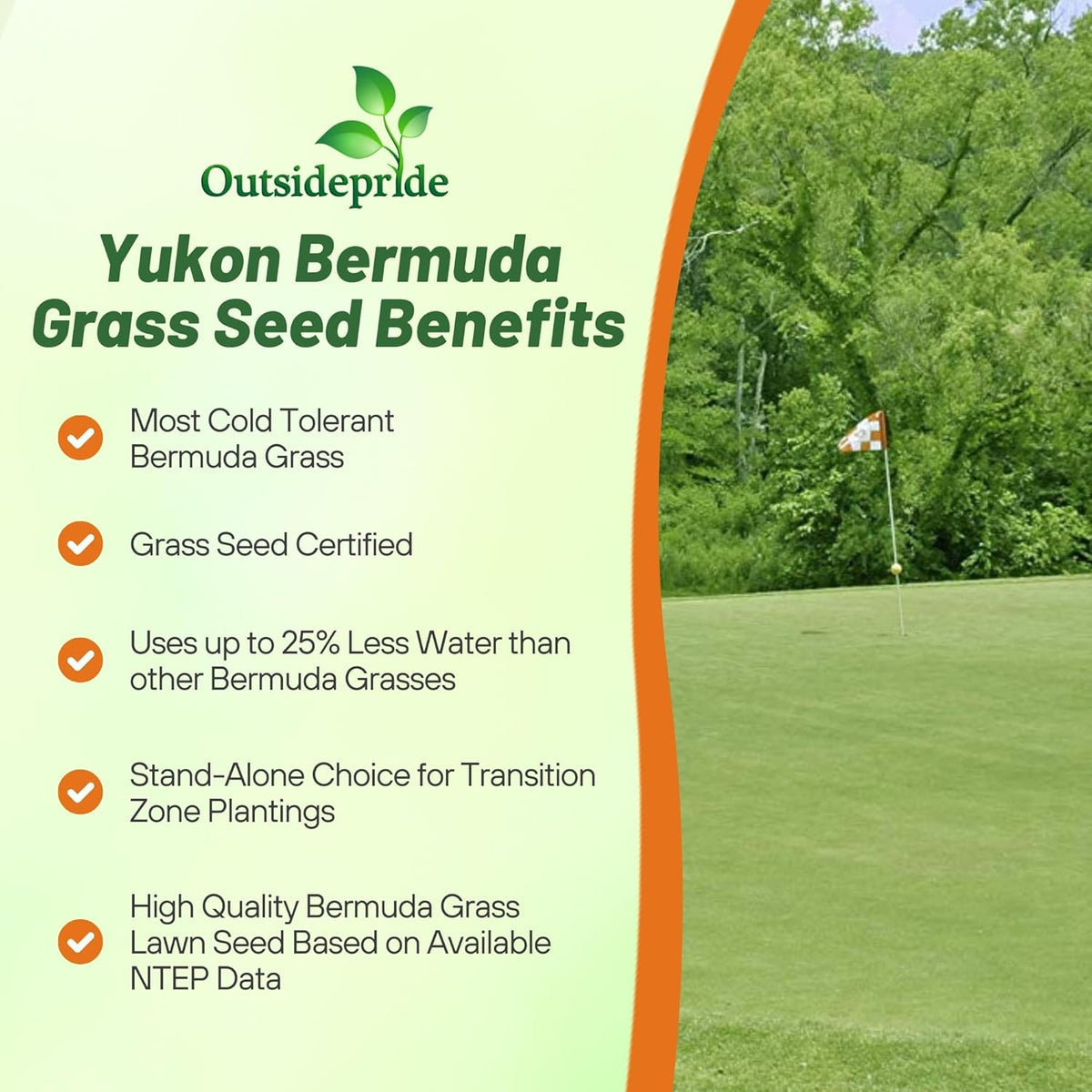 Outsidepride Yukon Bermuda Grass Seed - 5 lbs Cold & High Traffic Tolerant, Premium Hybrid Bermuda