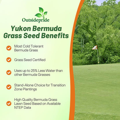 Outsidepride Yukon Bermuda Grass Seed - 5 lbs Cold & High Traffic Tolerant, Premium Hybrid Bermuda