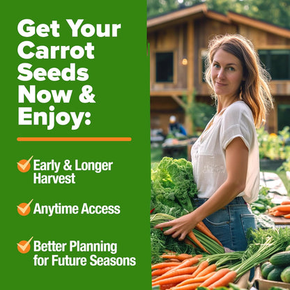 HOME GROWN 𝗨𝗦𝗔 𝗣𝗥𝗘𝗠𝗜𝗨𝗠 Rainbow Carrot Seeds – 2500+ Heirloom Seeds (10 Varieties) – High