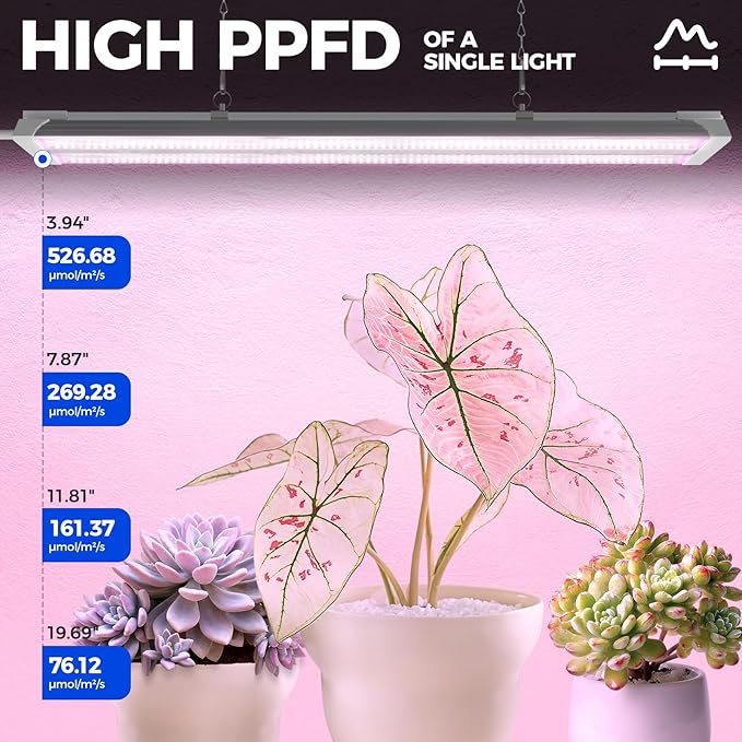 Barrina TX36 2FT Grow Lights for Seed Starting, 144W(4 x 36W, 800W Equivalent), High PPFD, Full