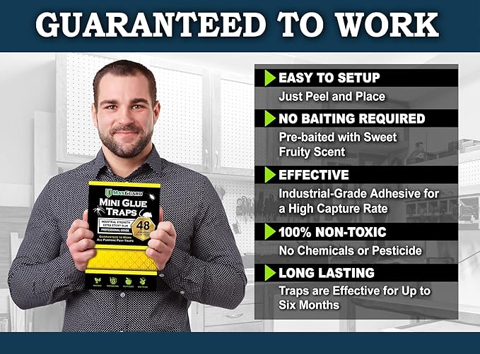 MaxGuard Mini Glue Traps (48 Traps) Non-Toxic Extra Sticky Glue Board Pre-Baited with Fruity Scent