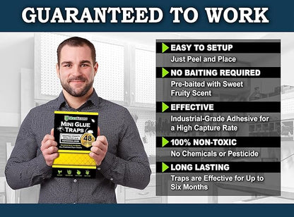 MaxGuard Mini Glue Traps (48 Traps) Non-Toxic Extra Sticky Glue Board Pre-Baited with Fruity Scent