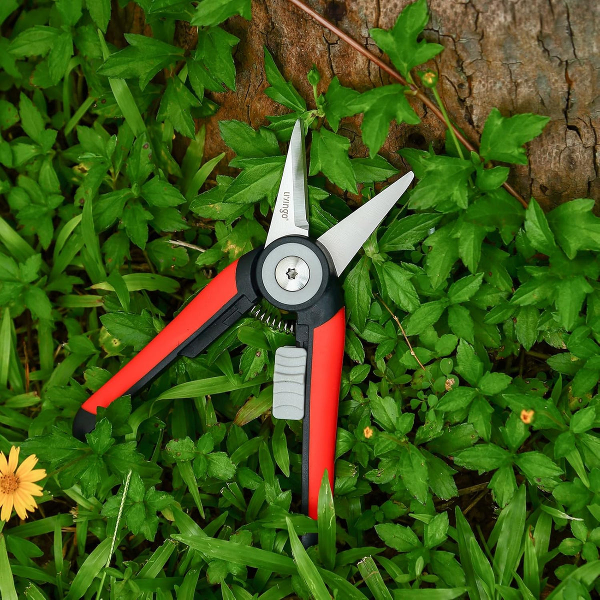 LIVINGO Precision Garden Pruning Shears - Straight Blade Floral Scissors with Non-Slip Handle for