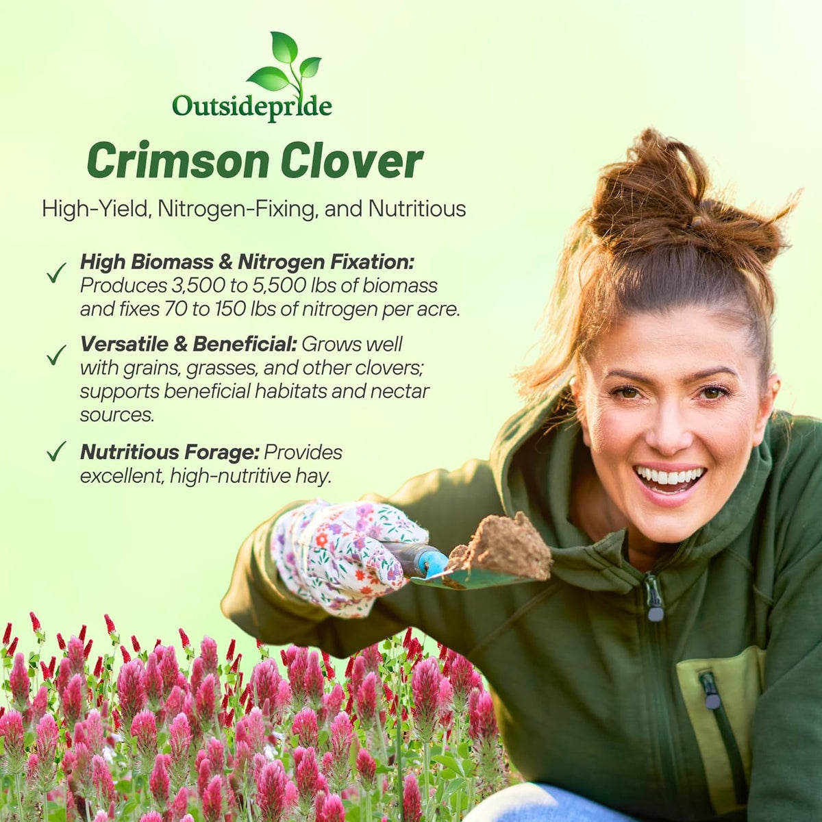Outsidepride Crimson Clover Seeds - 1/4 lbs. Annual, Nitrocoated, & Inoculated Ground Cover Seeds