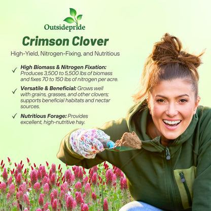 Outsidepride Crimson Clover Seeds - 1/4 lbs. Annual, Nitrocoated, & Inoculated Ground Cover Seeds