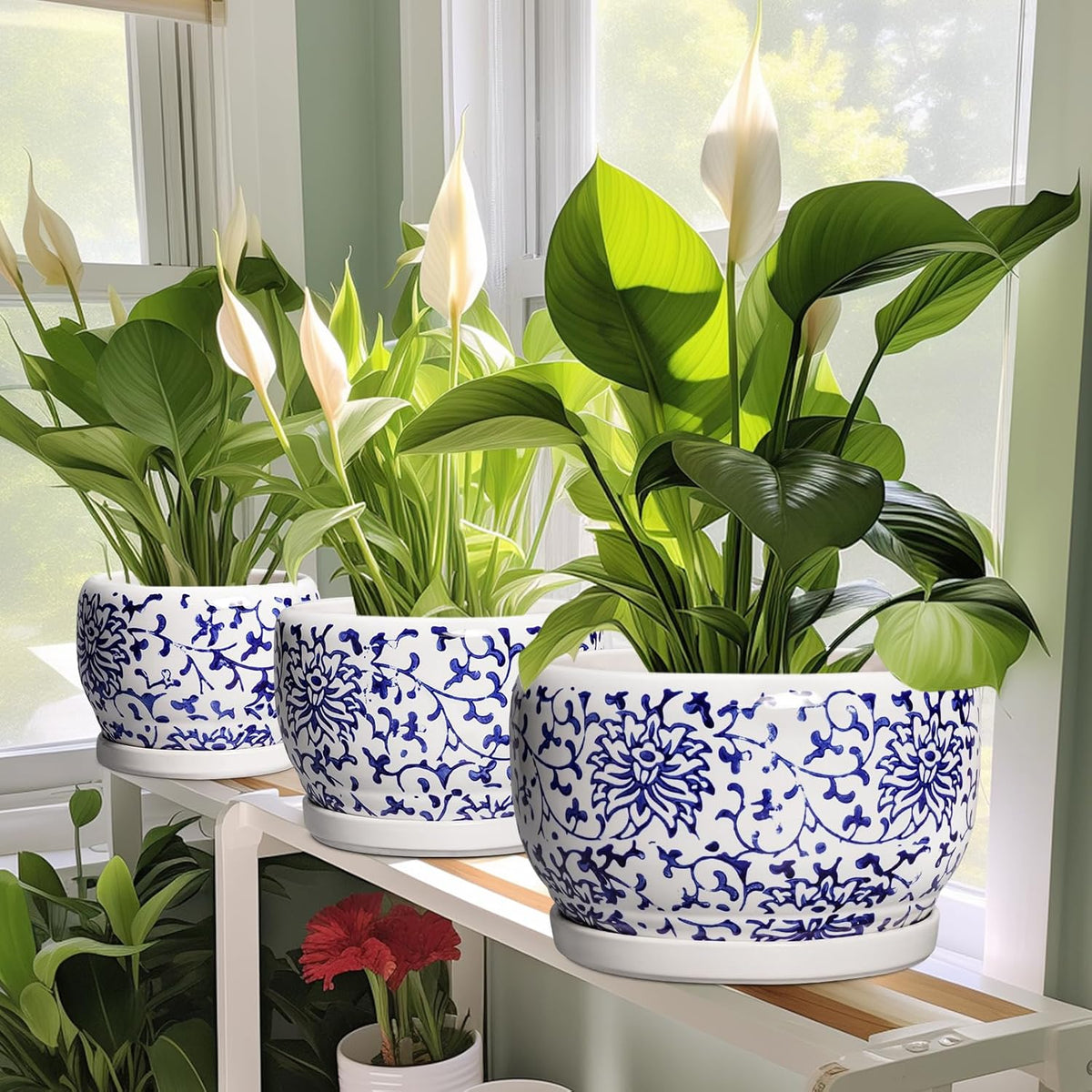 SQOWL Ceramic Pots for Plants - 8 inch Ceramic Planter with Drainage Hole and Saucer, Round Flower