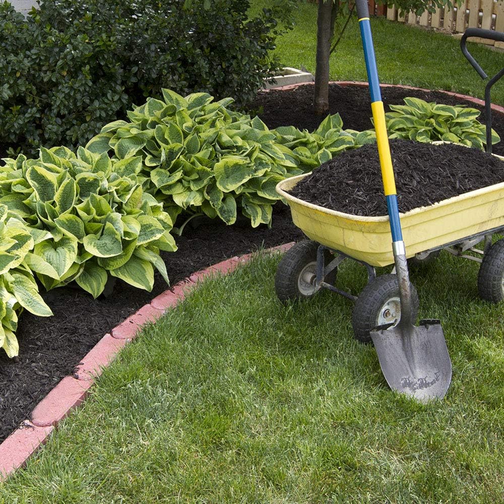6 Pack of Mixed Heart-Shaped Hosta Bare Roots Plants - Rich Green Foliage, Low Maintenance for Your