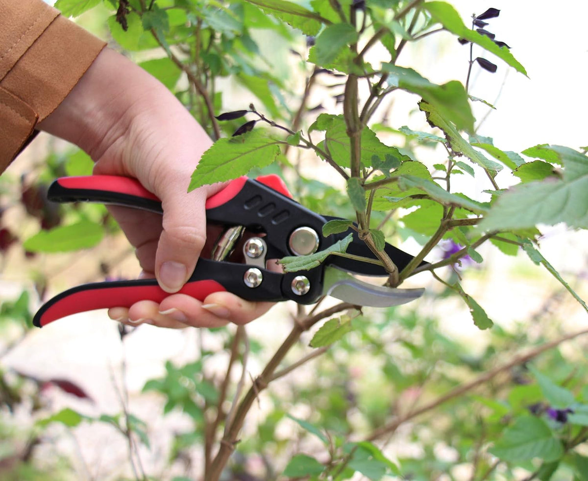 TABOR TOOLS S851A Bypass Hand Pruner with Compound Action, Makes Clean Cuts. Professional Sharp