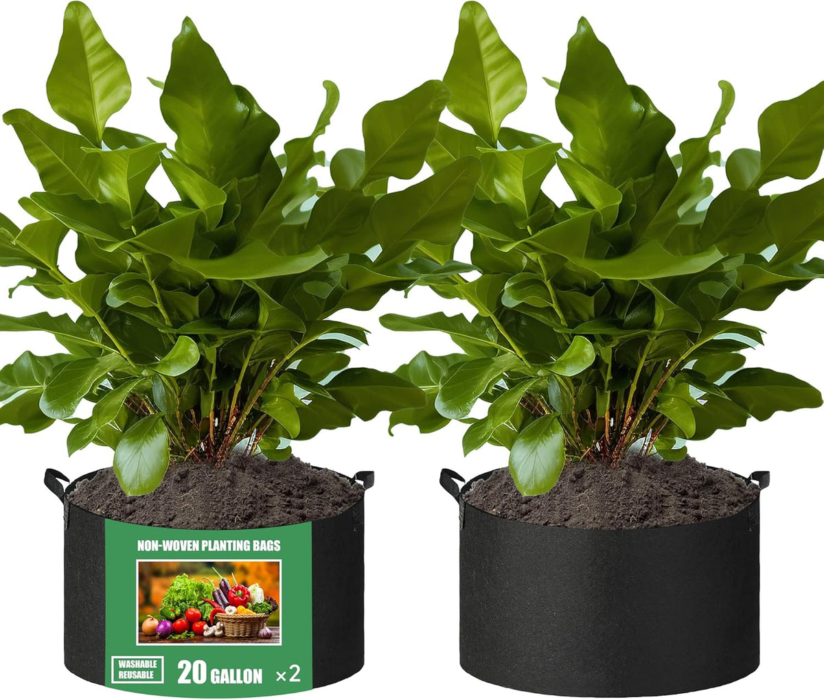 2-Pack 20 Gallon Fabric Grow Bags with Handle, Heavy Duty 300G Thickened Nonwoven with Handles and