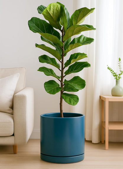 D'vine Dev 12 Inch Ceramic Planter Pot with Drainage Hole and Saucer, Indoor Cylinder Round Planter