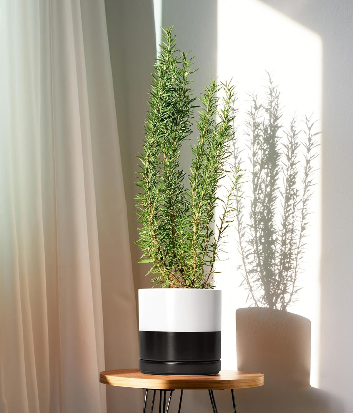 D'vine Dev 8.2 Inch Ceramic Planter Pot with Drainage Hole and Saucer, Indoor Cylinder Round