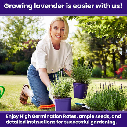 NatureZ Edge 7500 English Lavender Seeds for Planting Outdoors or Indoors, 90% Germination, to Give