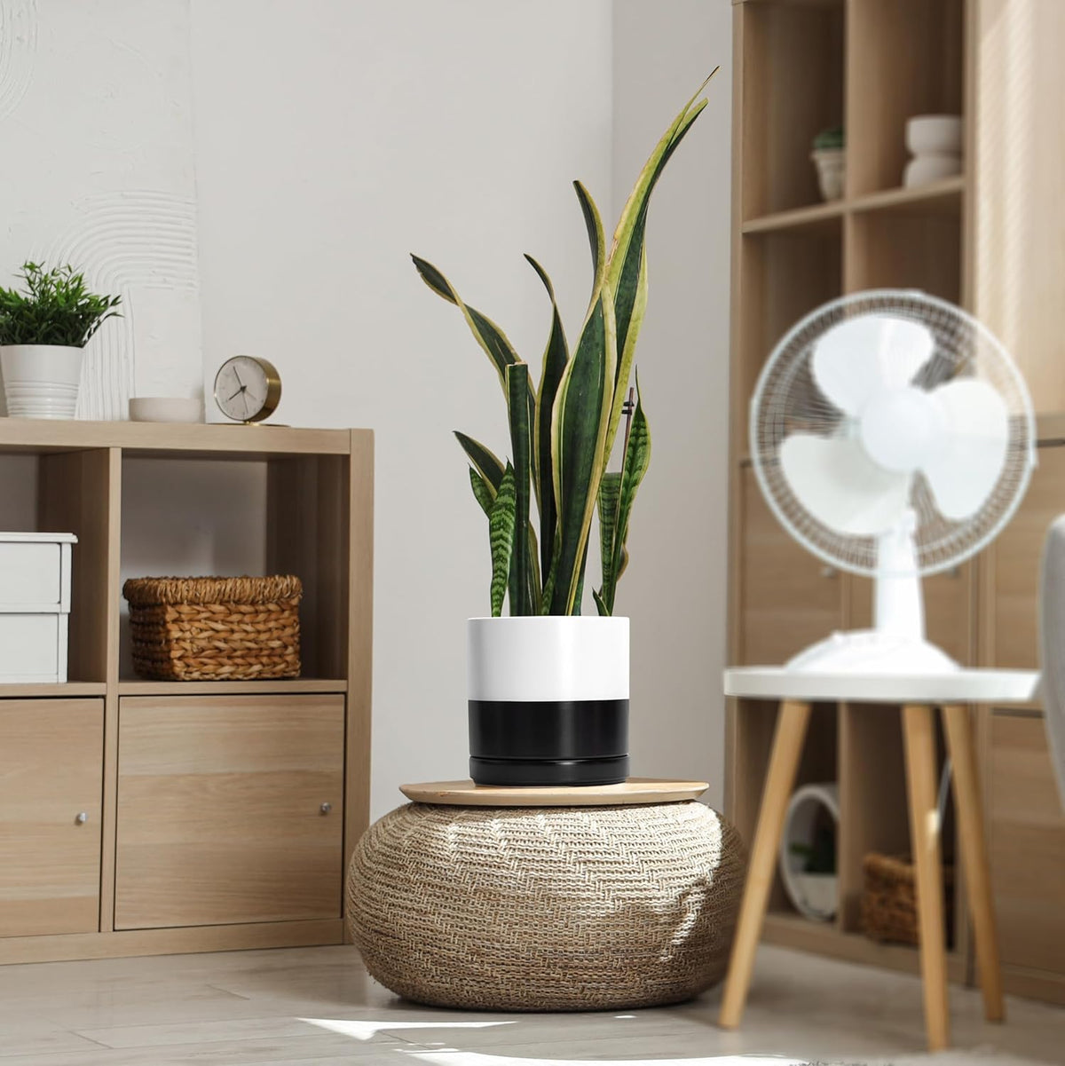 D'vine Dev 8.2 Inch Ceramic Planter Pot with Drainage Hole and Saucer, Indoor Cylinder Round