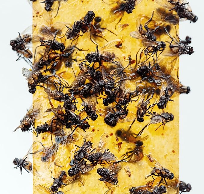 Gideal 2-Pack Yellow Sticky Fly Traps Pest Control for Indoor/Outdoor Use, Gnat Trap for Flying