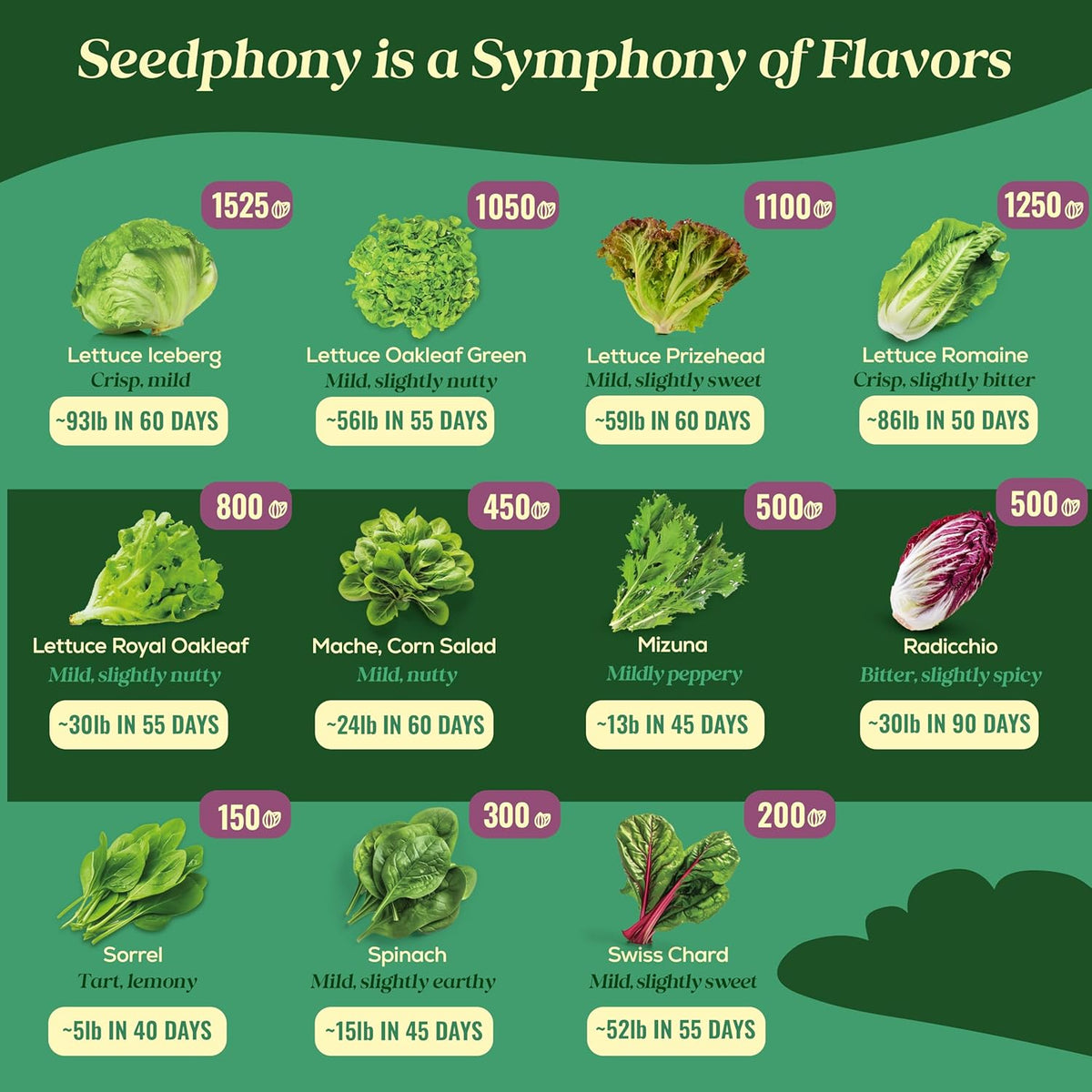 23 Lettuce & Salad Greens Seeds Variety Pack - 25,000+ Non-GMO Heirloom Greens Seeds for Planting
