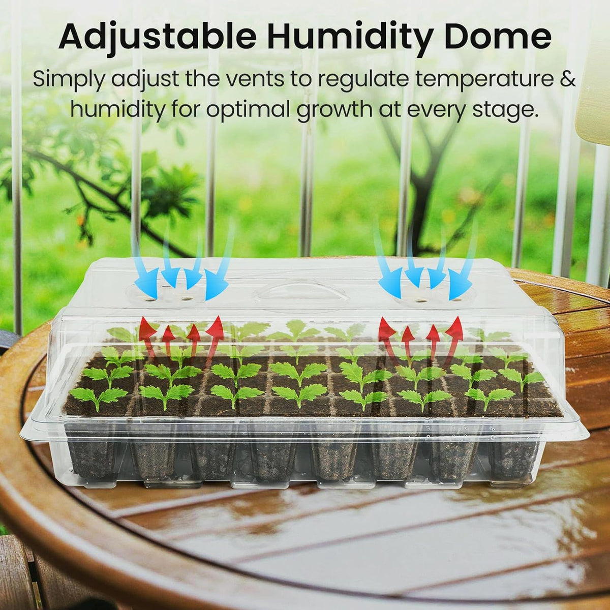 Bonviee 2-Pack Seed Starter Tray with Plant Light, Elevated Seedling Starter Trays Kits with