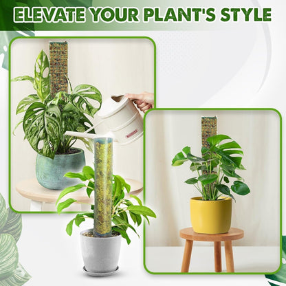 DUSPRO D-Shaped Plastic Moss Poles for Climbing Plants Monstera Stackable Moss Pole for Plants Moss