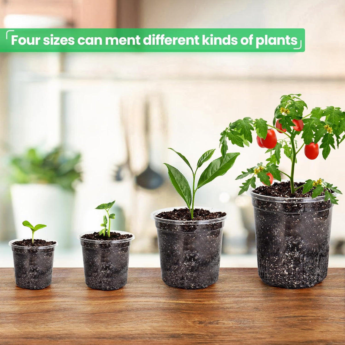 36 Packs 6.7/5/4/3.5 Inch Reinforced Clear Nursery Pots with Drainage Hole, Transparent Variety