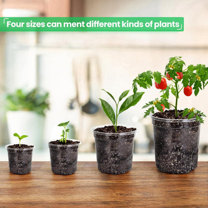 36 Packs 6.7/5/4/3.5 Inch Reinforced Clear Nursery Pots with Drainage Hole, Transparent Variety