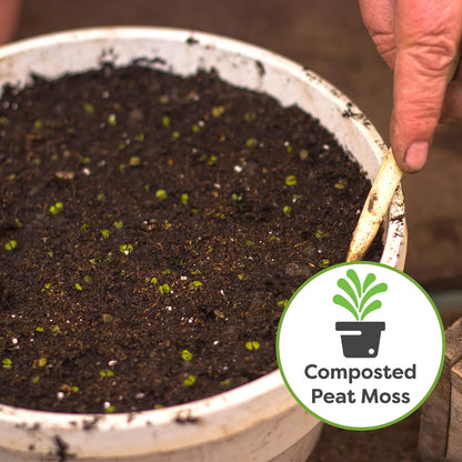 Perfect Plants Organic Seed Starter Soil Mix 4qt. | Contains Worm Castings and Mycorrhizae |