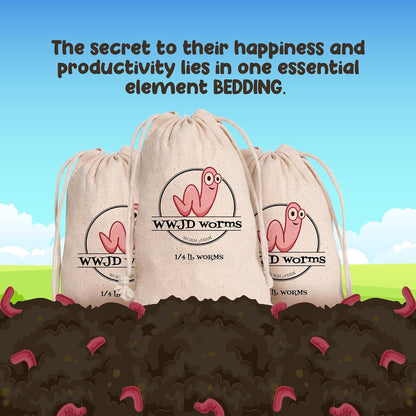 Red Wigglers Composting Worms - 1/4lb Red Worms for Composting Bin, for Plants or Gardening