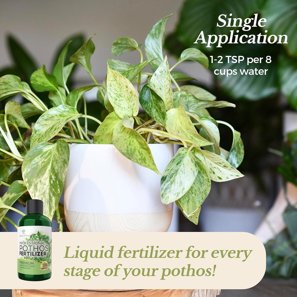 Professional Liquid Pothos Plant Fertilizer | 3-1-2 Concentrate for Epipremnums and Houseplants |