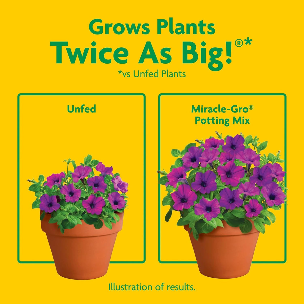 Miracle-Gro Potting Mix, For Indoor or Outdoor Potted Plants, Flowers, Vegetables, Shrubs, Annuals